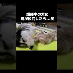 18位のイメージ