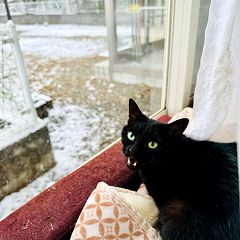 139位のイメージ