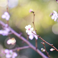 130位のイメージ