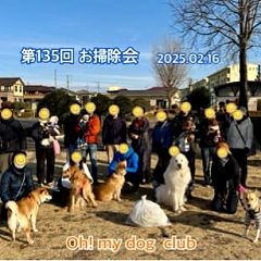 11位のイメージ