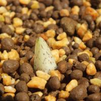 1416位のイメージ