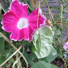 19位のイメージ