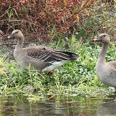 413位のイメージ