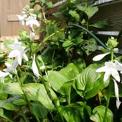 93位のイメージ