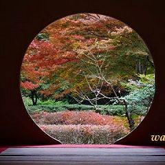 23位のイメージ