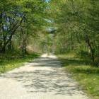 87位のイメージ