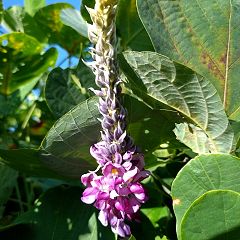 158位のイメージ