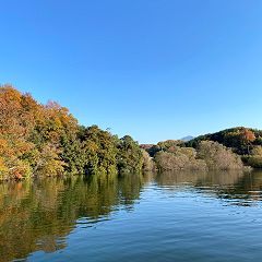 18位のイメージ