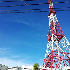 61位のイメージ