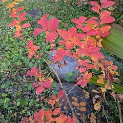 45位のイメージ