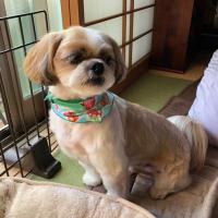 1097位のイメージ