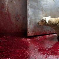 121位のイメージ