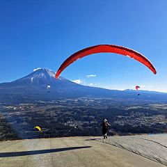 41位のイメージ