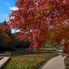 97位のイメージ