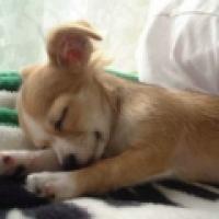 14位のイメージ