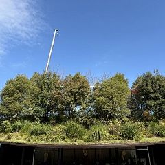 98位のイメージ