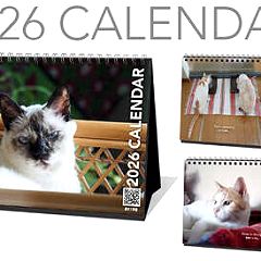 69位のイメージ