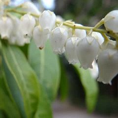 62位のイメージ