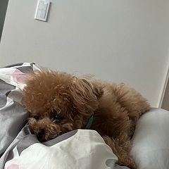 42位のイメージ