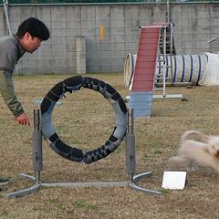 229位のイメージ