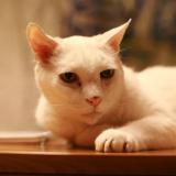 16位のイメージ