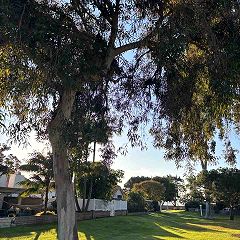 126位のイメージ