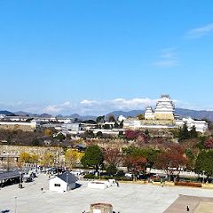 202位のイメージ