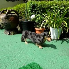 1038位のイメージ