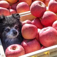 57位のイメージ