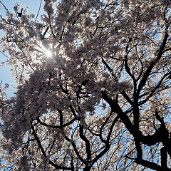 65位のイメージ