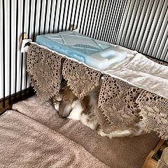 19位のイメージ