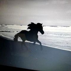 173位のイメージ