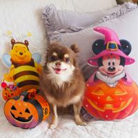 24位のイメージ