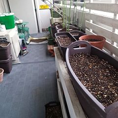 88位のイメージ