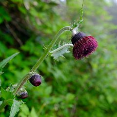 19位のイメージ