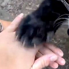 121位のイメージ