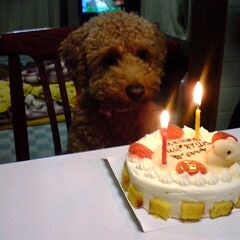 15位のイメージ