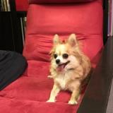 159位のイメージ