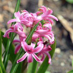 148位のイメージ