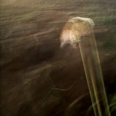 72位のイメージ