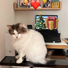 68位のイメージ