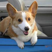 43位のイメージ