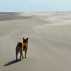 356位のイメージ