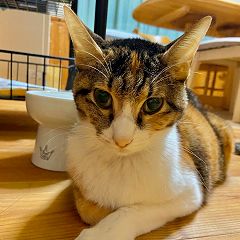 57位のイメージ