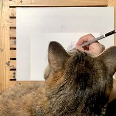 26位のイメージ