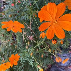 42位のイメージ