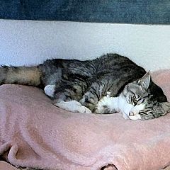 210位のイメージ