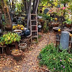 68位のイメージ