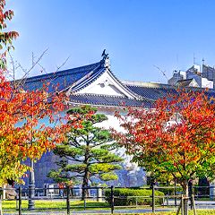 65位のイメージ