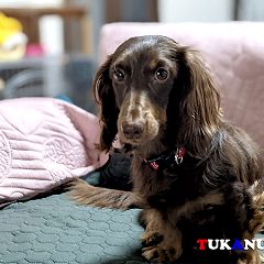 72位のイメージ